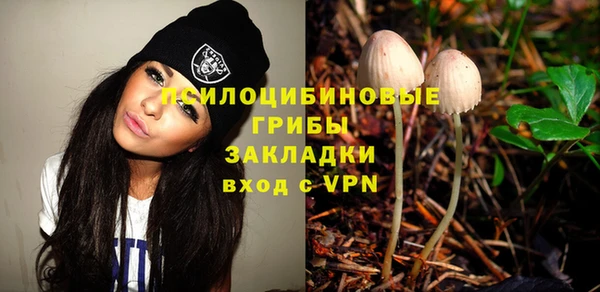 МДПВ Армянск