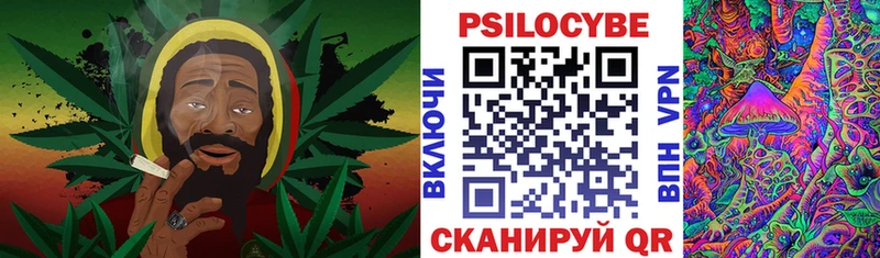 площадка формула Минусинск Галлюциногенные грибы Psilocybe