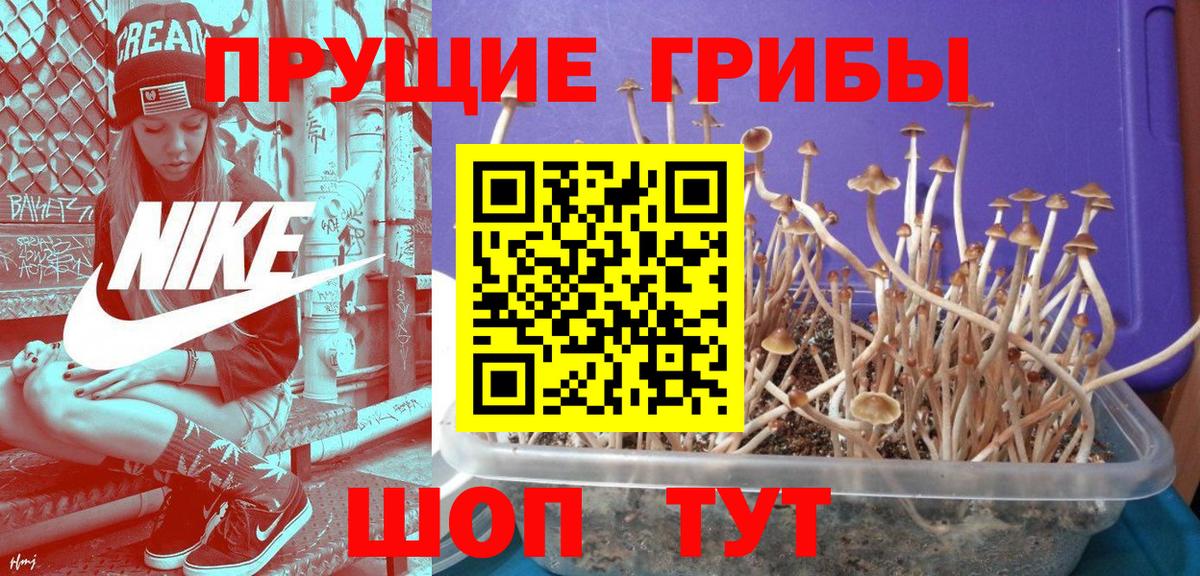 Галлюциногенные грибы ЛСД  Вход с VPN  Минусинск 