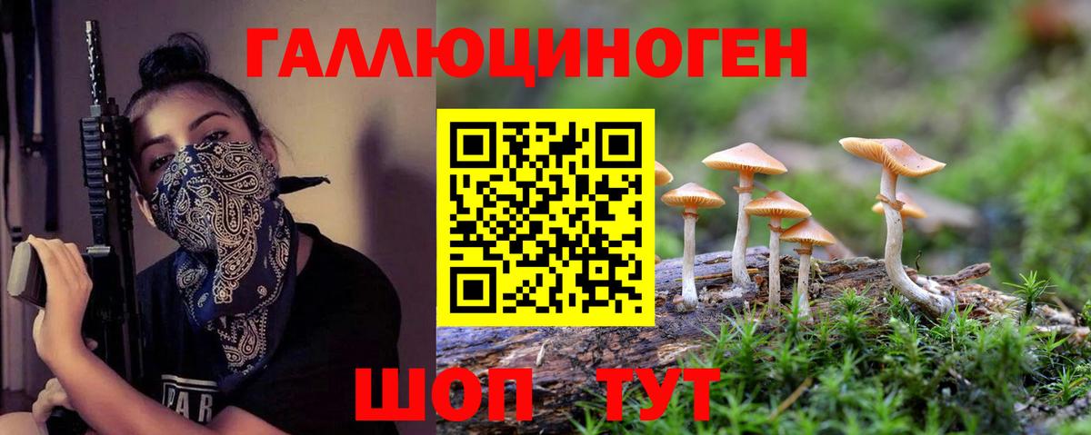 Галлюциногенные грибы Cubensis Минусинск